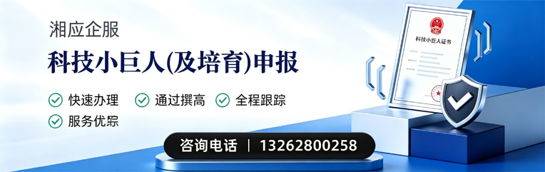 驻马店科技小巨人及培育企业申报服务