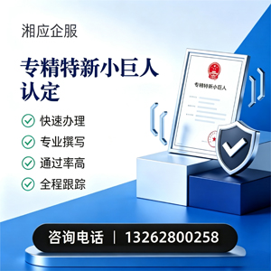 驻马店专精特新小巨人申报服务