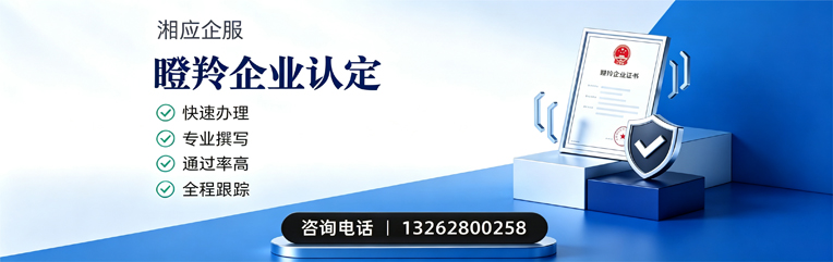 驻马店瞪羚企业认定申报服务