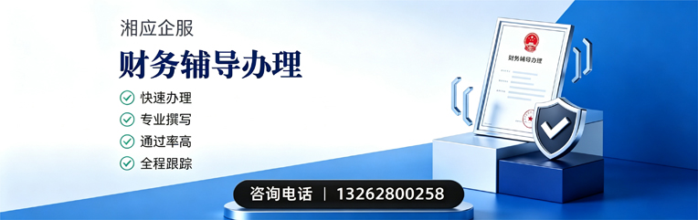 驻马店财务辅导申请服务