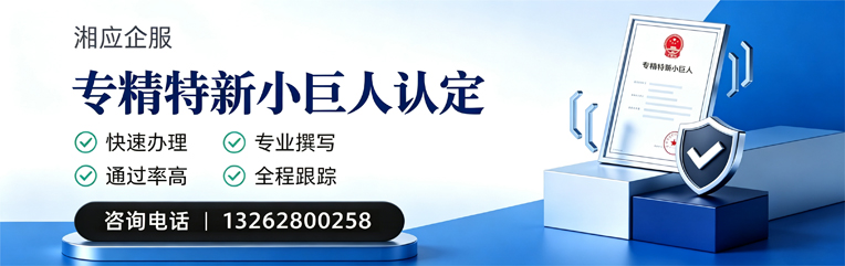 驻马店专精特新小巨人申报服务